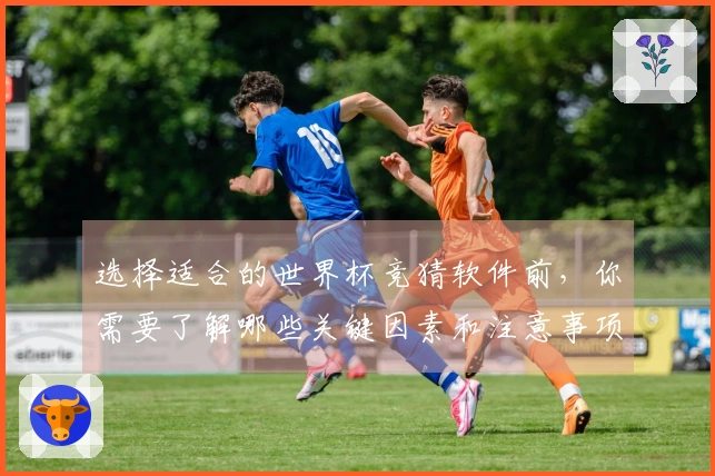 选择适合的世界杯竞猜软件前，你需要了解哪些关键因素和注意事项？