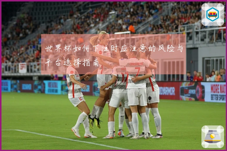 世界杯如何下注时应注意的风险与平台选择指南