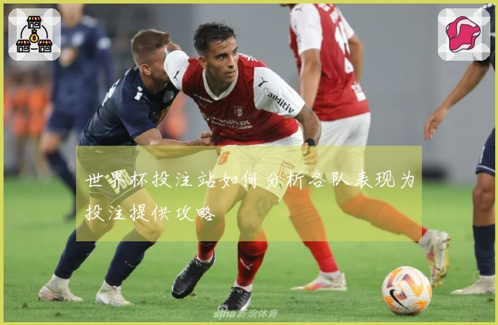 世界杯投注站如何分析各队表现为投注提供攻略